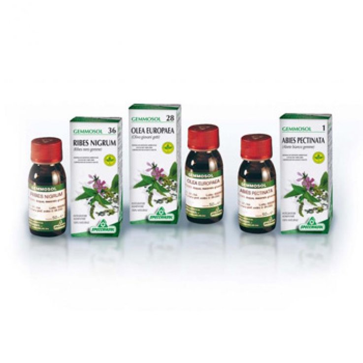 Gemmosol 46 Tiglio Argen 50ml