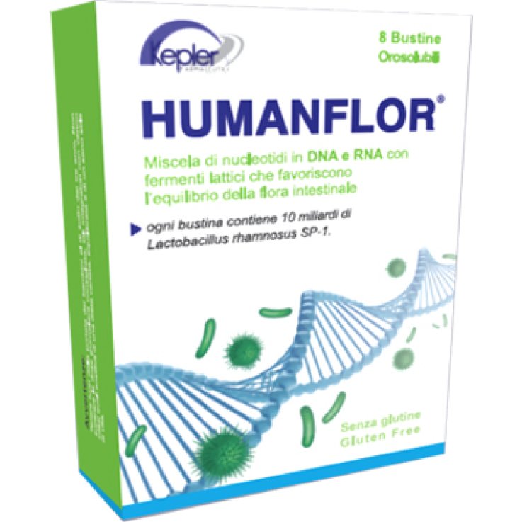 Humanflor 8bust 12g
