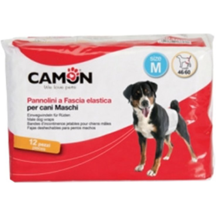 PANNOLINI FASC CANI MASC 1 12P