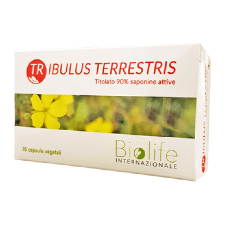 Tribulus Terrestris 60cps