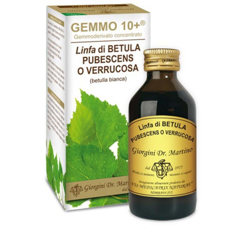 Betulla B Linfa An Gemm10+ 100