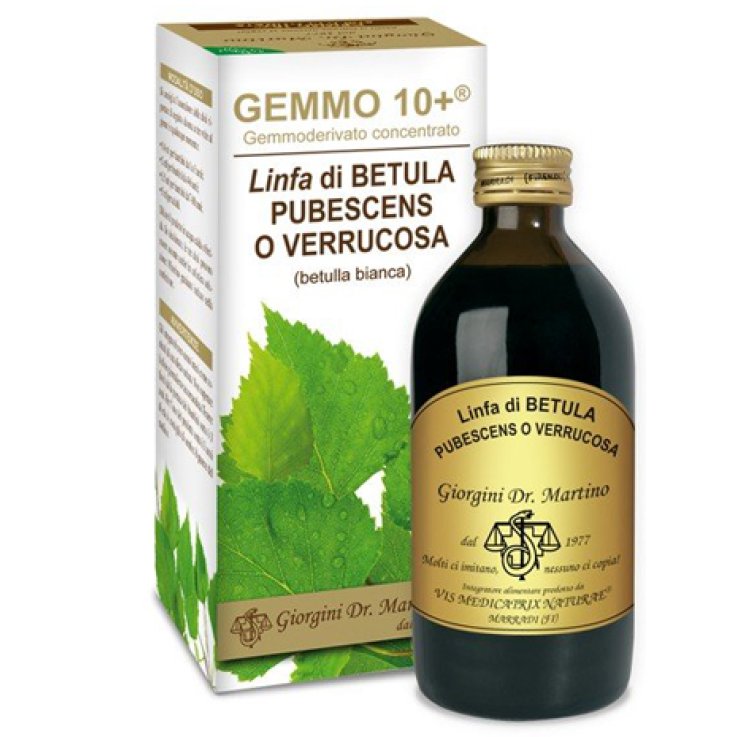 Betulla B Linfa An Gemm10+ 200