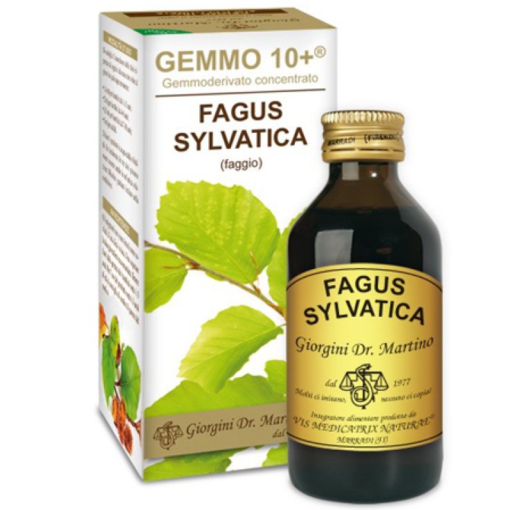 Faggio 100ml Analco Gemmo 10+