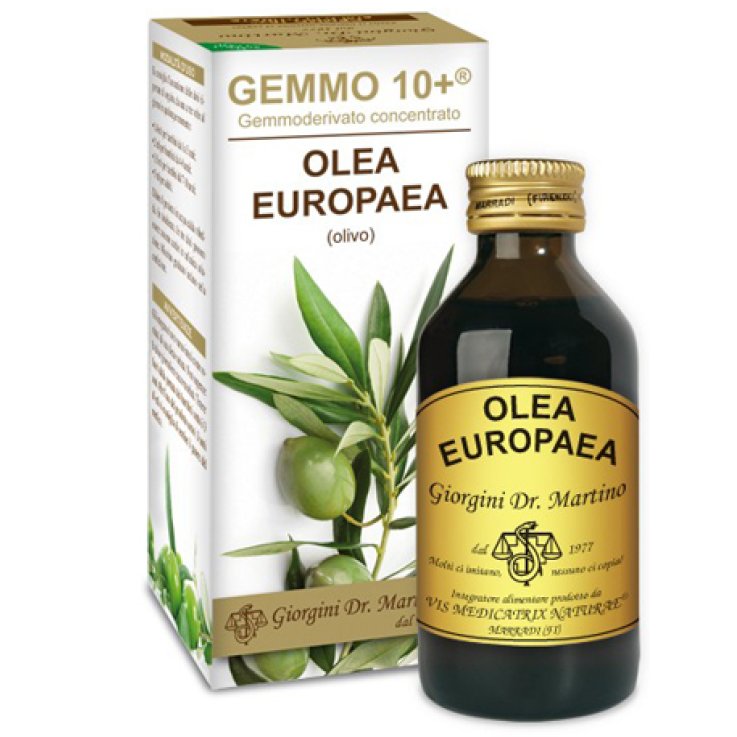 Olivo 100ml Analco Gemmo 10+