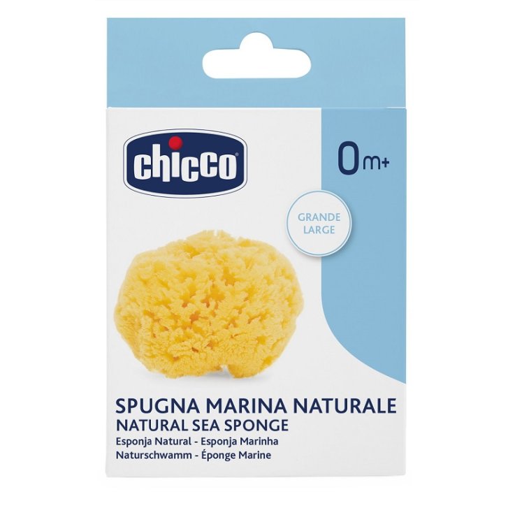 Ch Spugna Grande Igiene Sicura