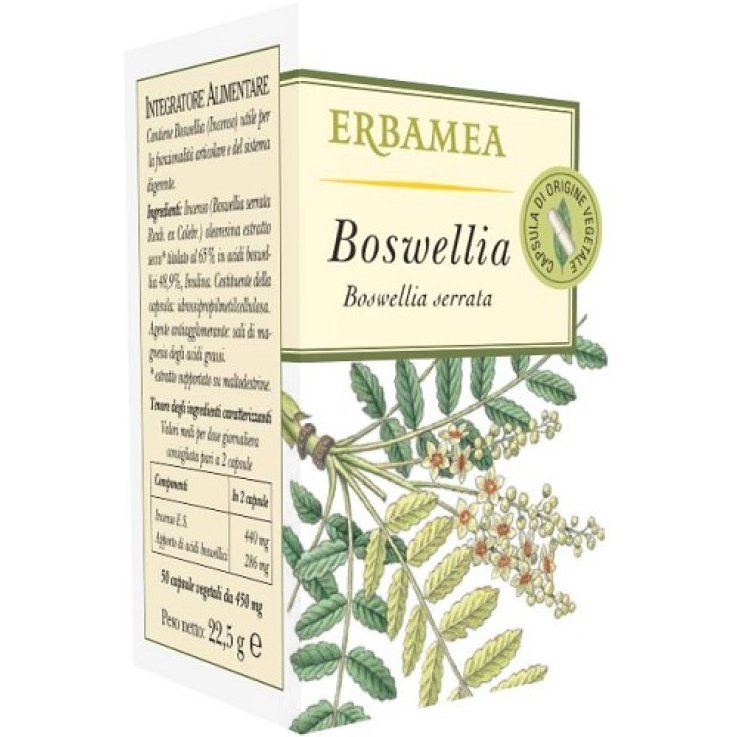 Boswellia 50opr
