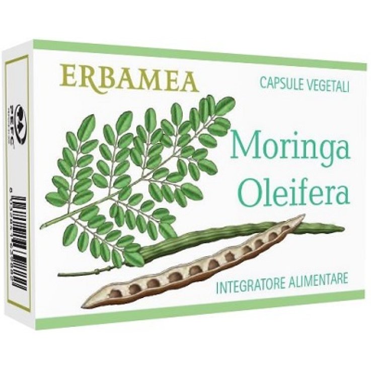 Moringa Oleifera 24cps
