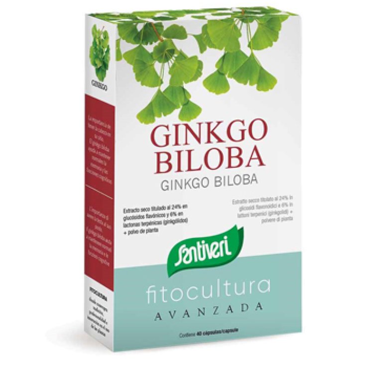 Ginkgo Biloba 40cps
