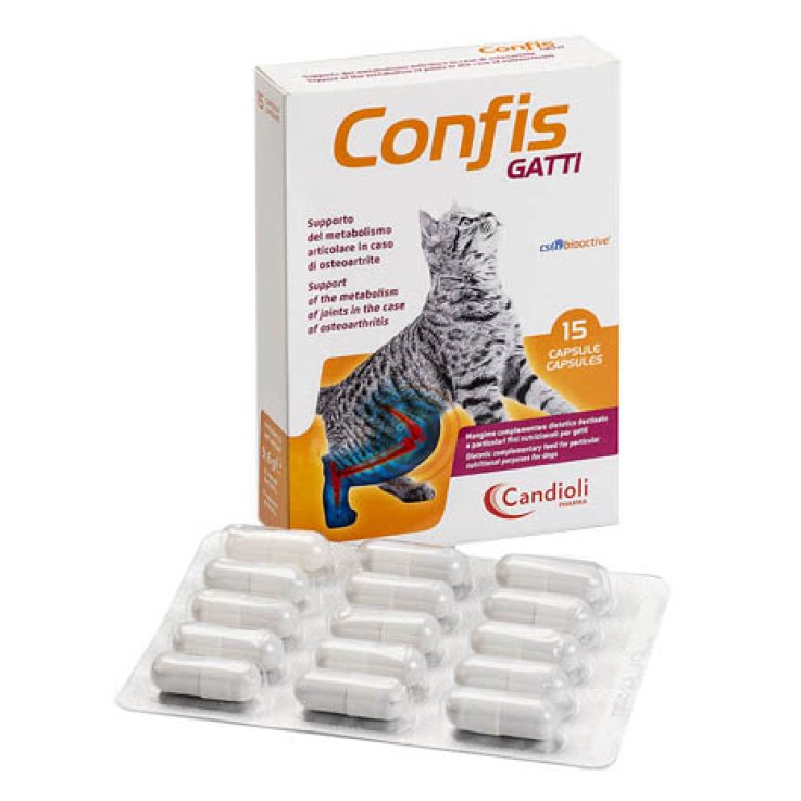 Confis Gatti 15cps