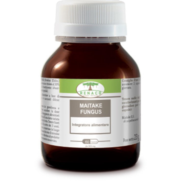 Maitake Fungus 60cps