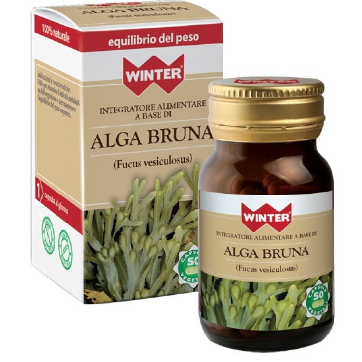 Winter Alga Bruna 50cps Veg