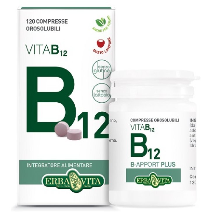 B-apport Vit B12 120cpr Orosol