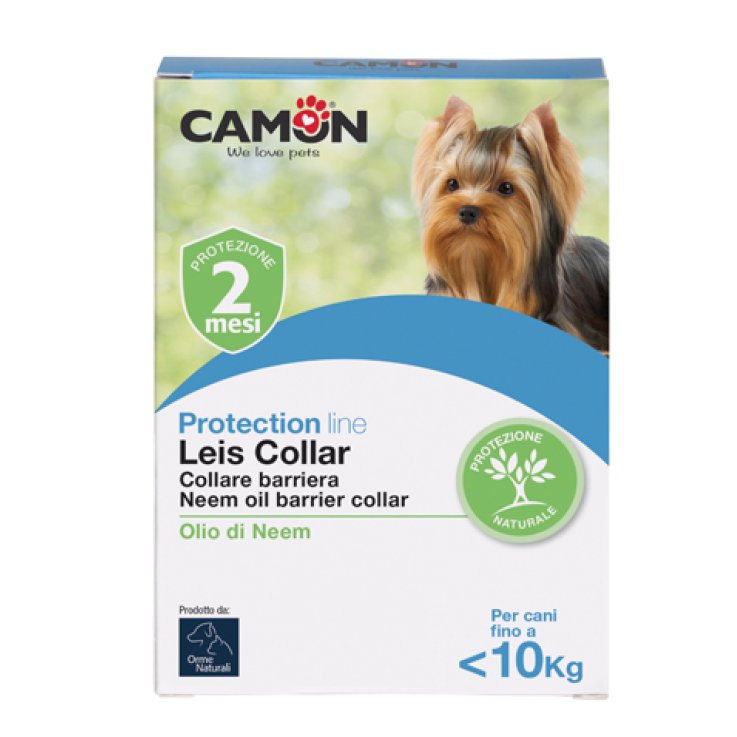 Leis Collare Barri Cane 35cm S