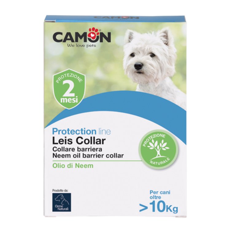 Leis Collare Barri Cane 60cm L