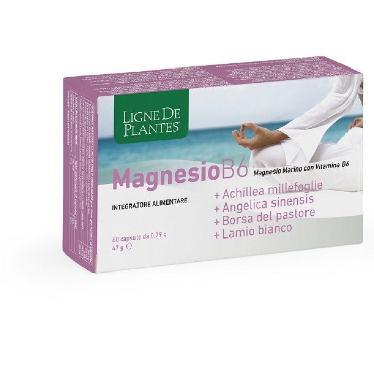 MAGNESIO B6+ACHILLEA+ANGELICA+