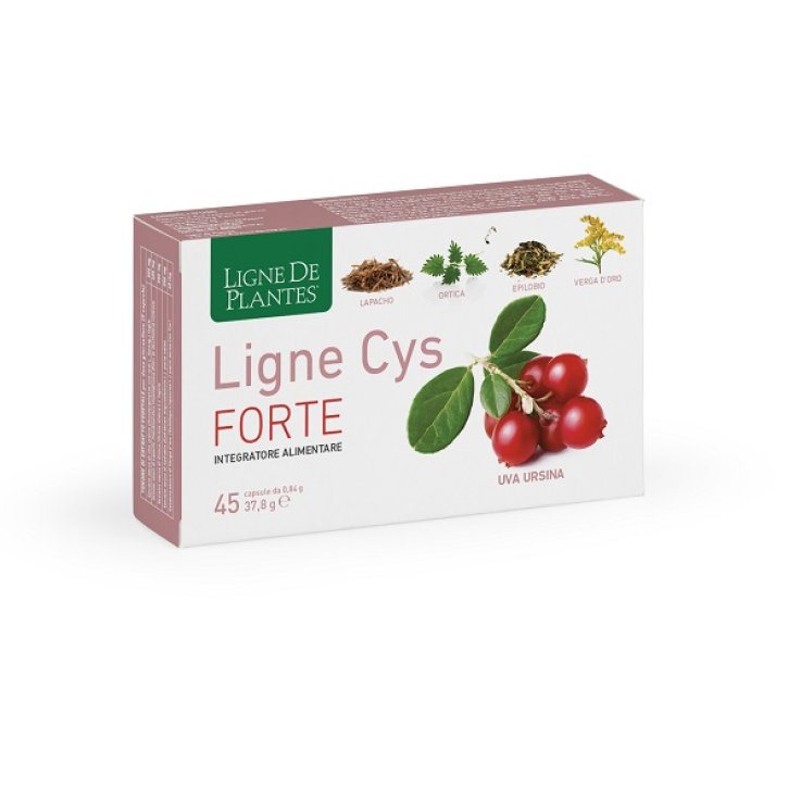 Ligne Cys Forte 45cps