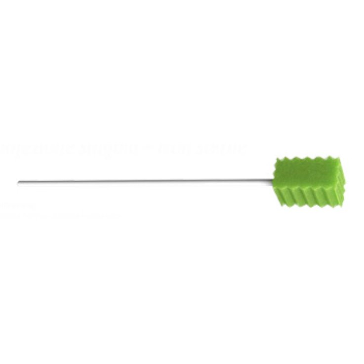 Bastoncino Puliz Cavo Or 20pz