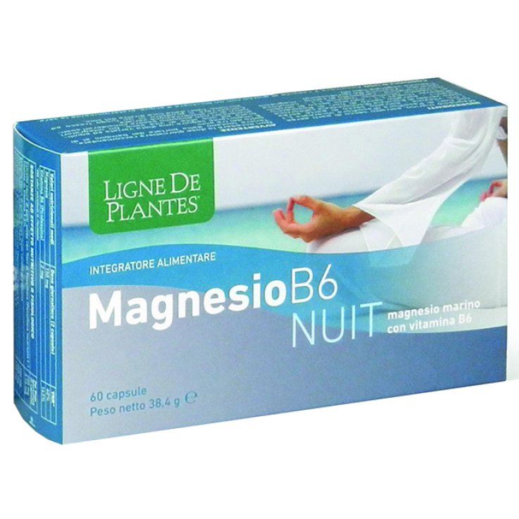 Magnesio B6 Nuit 60cps
