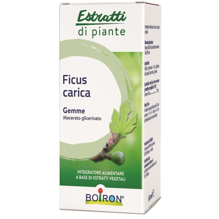 Ficus Carica Boiron Mg 60ml Ficus Carica Boiron Mg 60ml