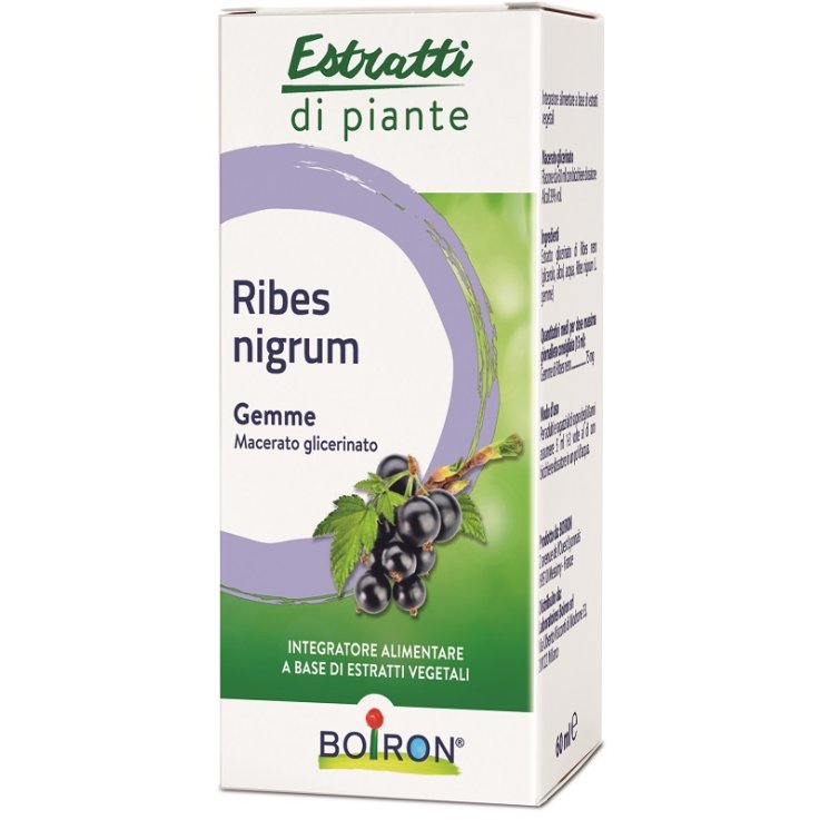 Ribes Nigrum Boiron Mg 60ml