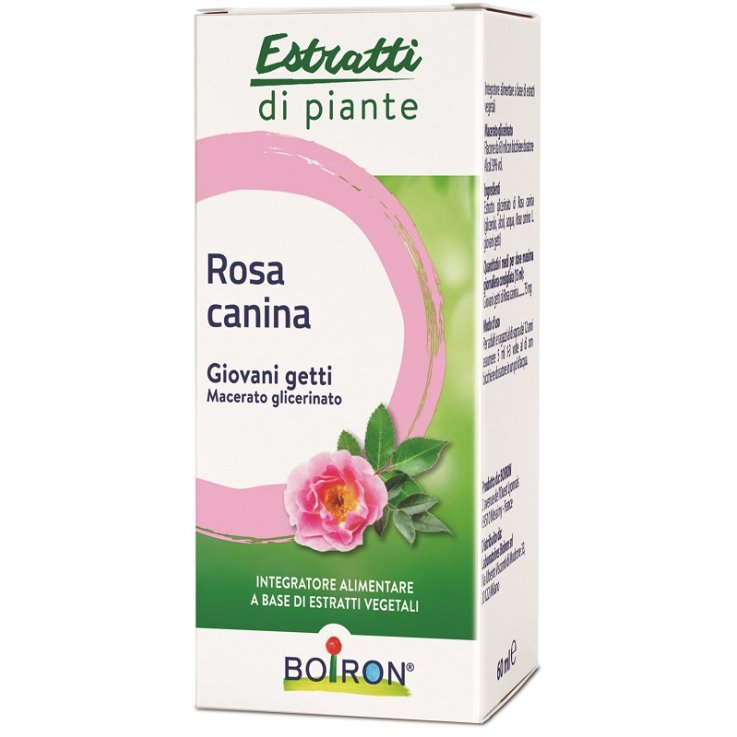 Rosa Canina Boiron Mg 60ml