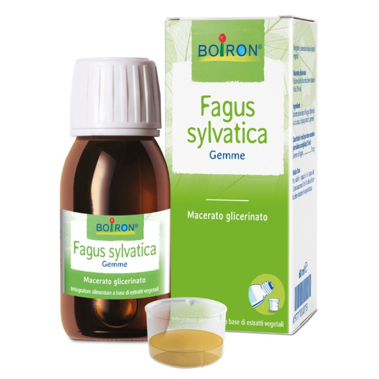 FAGUS SYLVATICA MG 60ML INT FAGUS SYLVATICA MG 60ML INT
