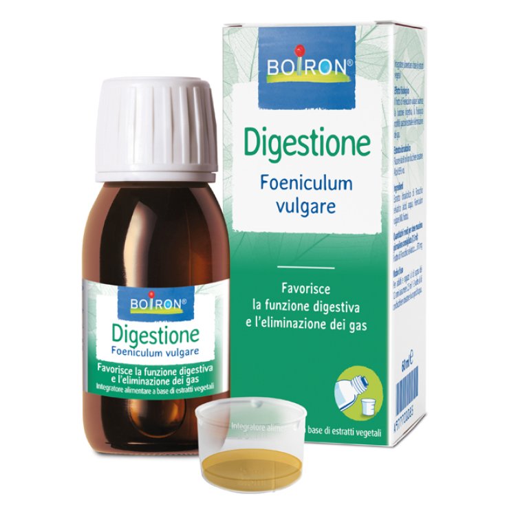 FOENICULUM VULG EI 60ML INT FOENICULUM VULG EI 60ML INT