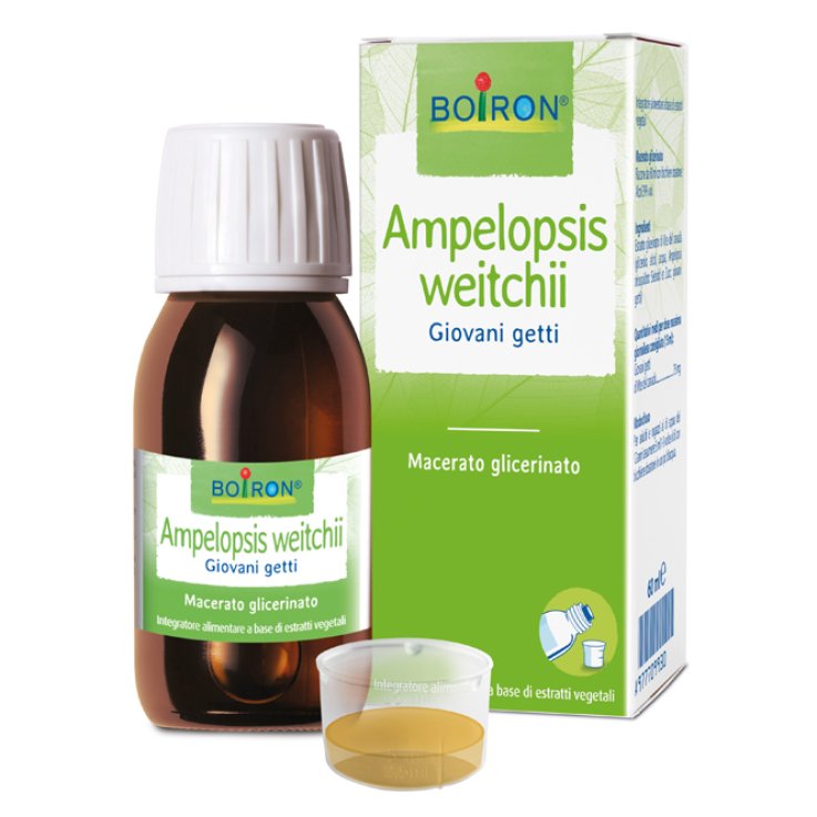 Ampelopsis Wei Boiron Mg 60ml