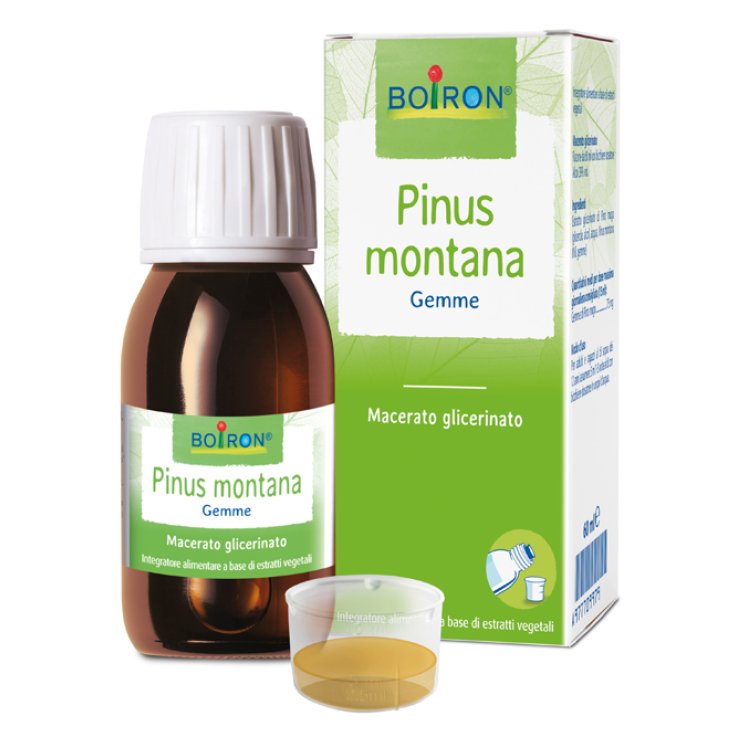 Pinus Montana Boiron Mg 60ml