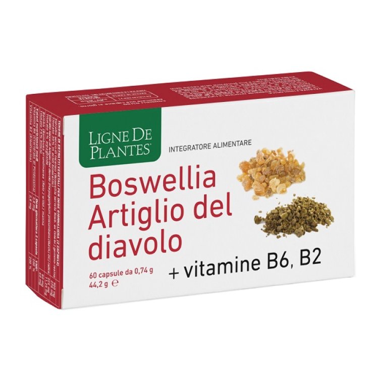 Boswellia Artiglio Diavol60cps