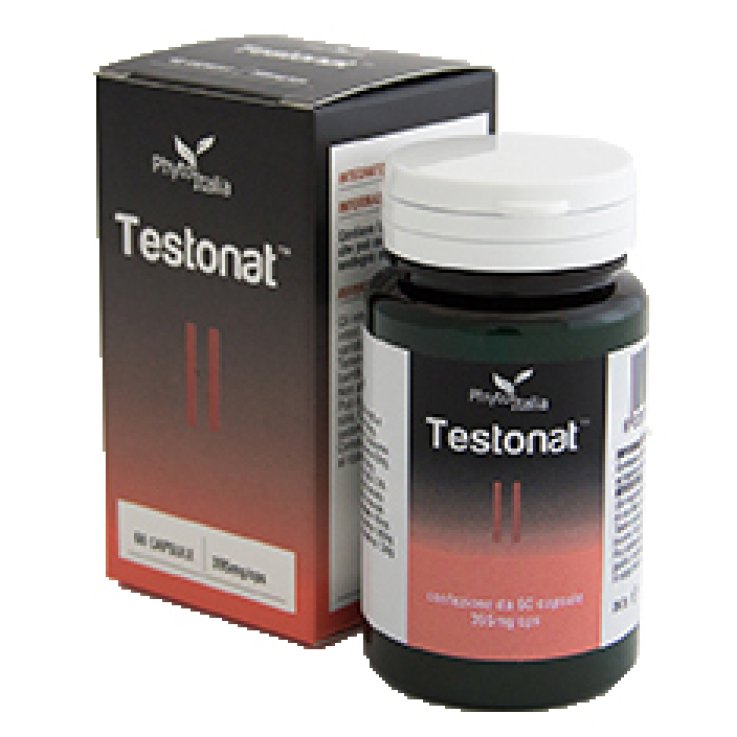 Testonat 60cps