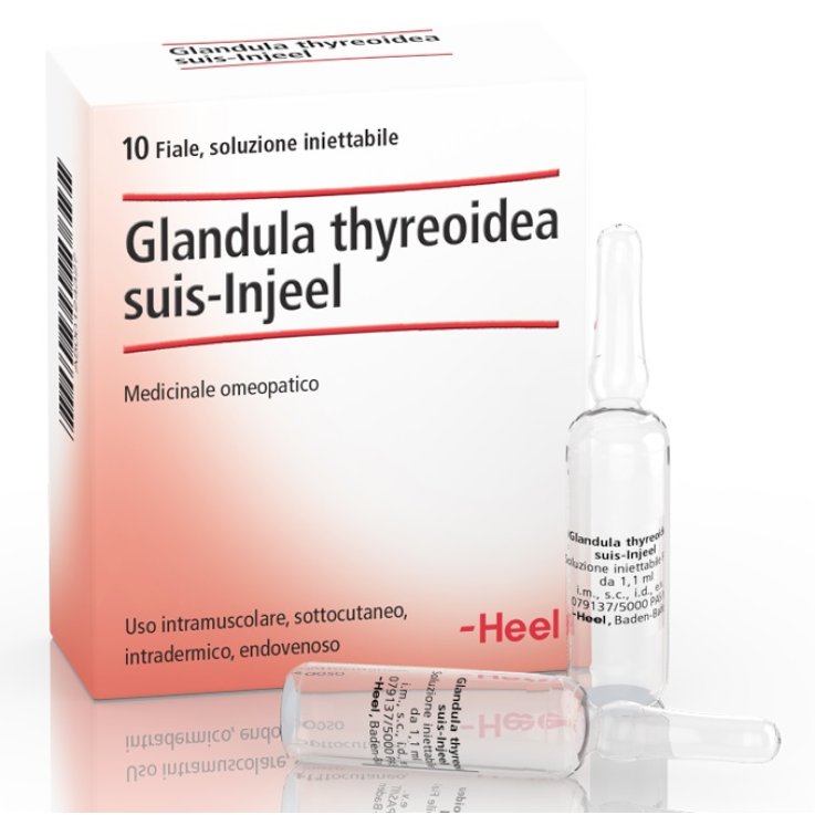 Glandula Thyre Suis Inj 10f He