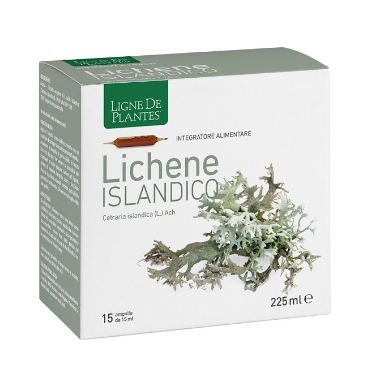 LICHENE ISLANDICO 15AMPX15ML