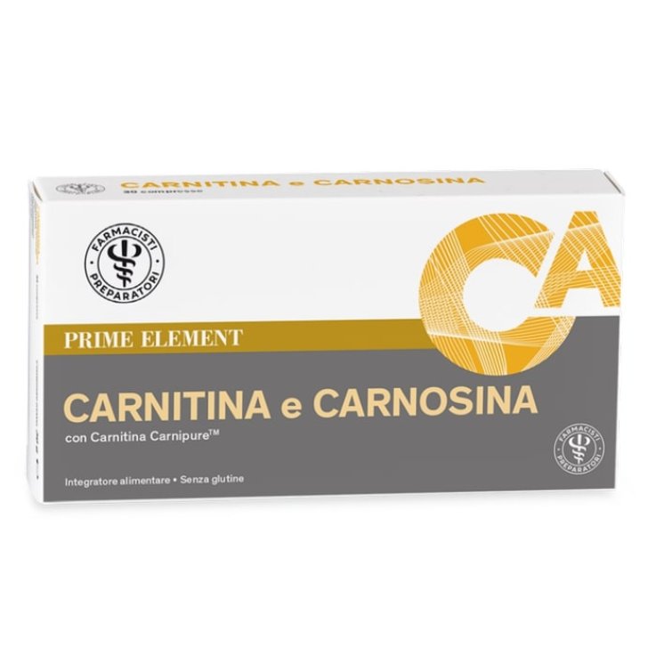 LFP CARNITINA CARNOSINA 39G PR