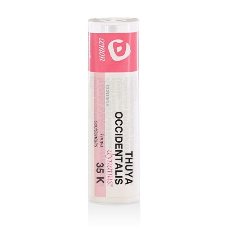 Thuya Occident 35k Gr