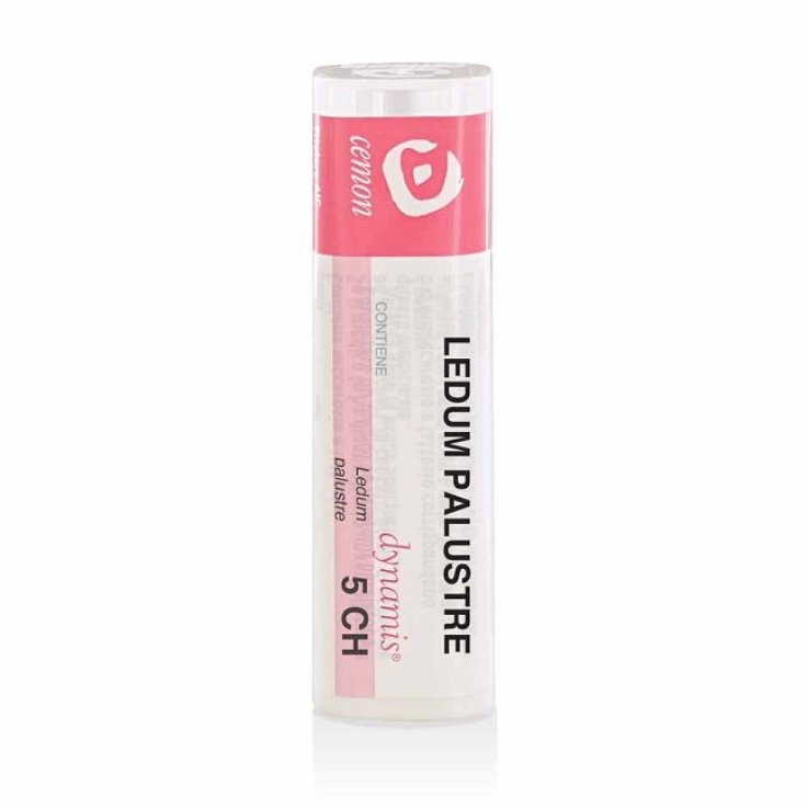 Ledum Palustre 5ch Gr