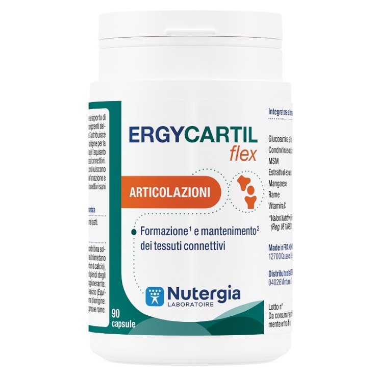 Ergycartil Flex 90cps