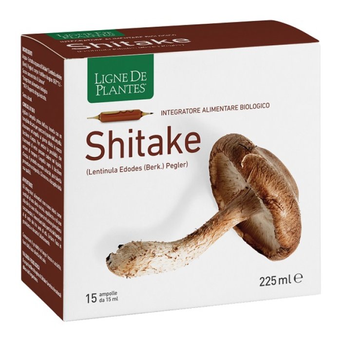 Ligne Shitake Bio 15amp 15ml