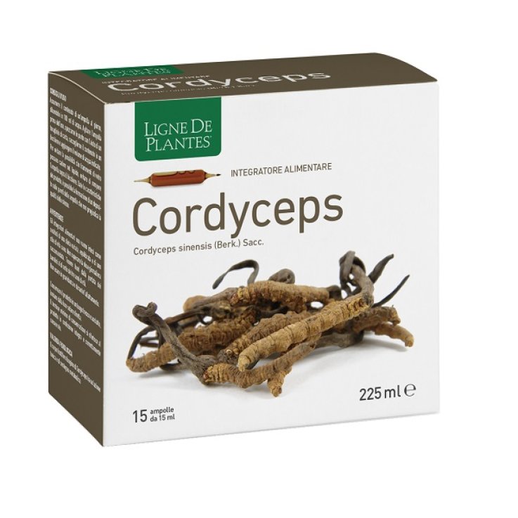 CORDYCEPS 15AB 15ML