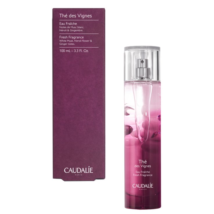 Tdv Acqua Fresca 100ml