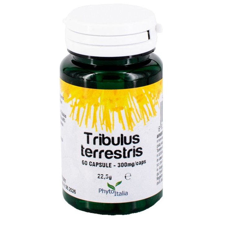 Tribulus Terrestris 60cps