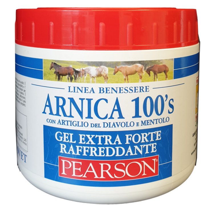 Arnica 100's Gel Ex Ft Raff500