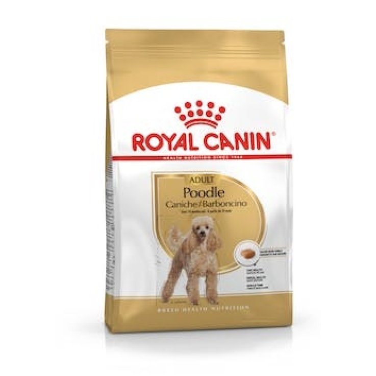 BHN POODLE ADULT 1,5KG