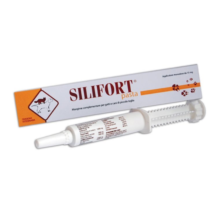 Silifort Pasta Os Siringa 30g