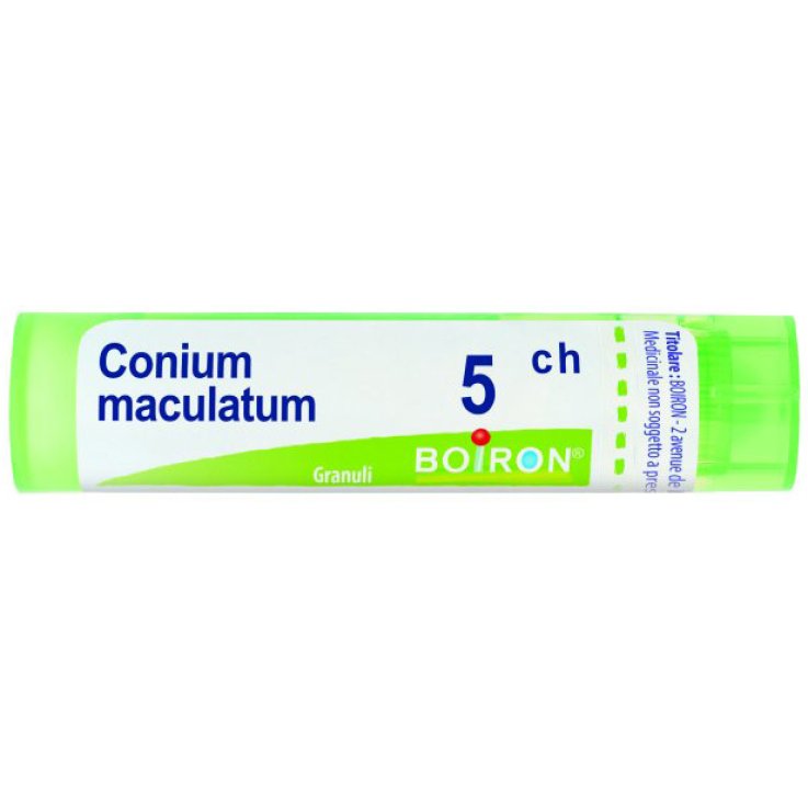 Conium Maculatum 5ch Gr 4g