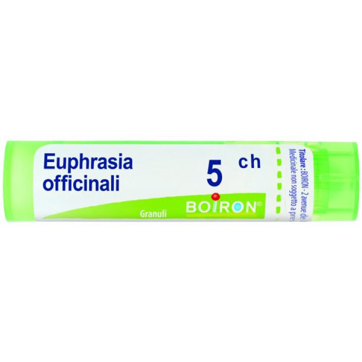 Euphrasia Off 5ch Gr 4g Euphrasia Off 5ch Gr 4g