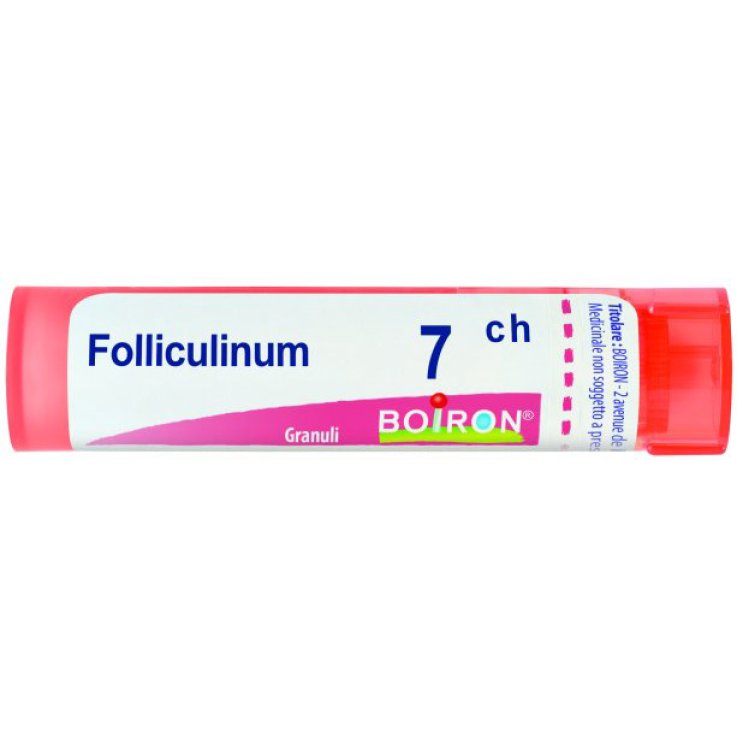 FOLLICULINUM 7CH GR FOLLICULINUM 7CH GR