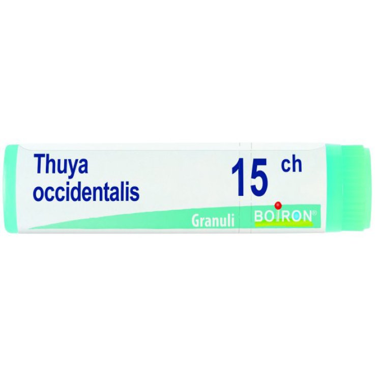 Thuya Occ 15ch Gl 1g