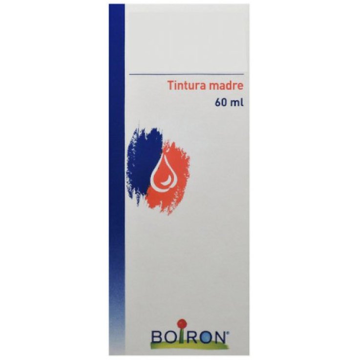 Tilia Tomentosa 60ml Tm