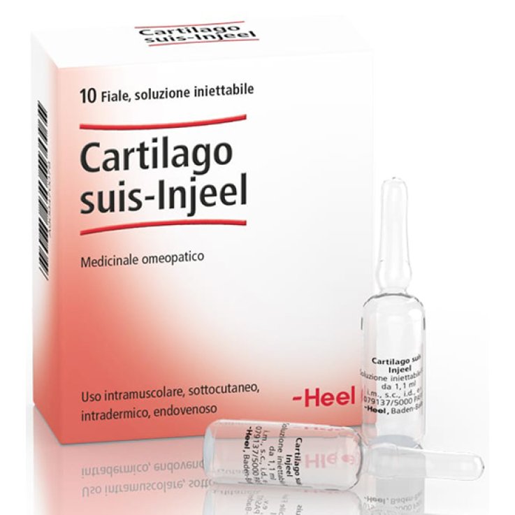 Cartilago Suis Inj 10f Heel